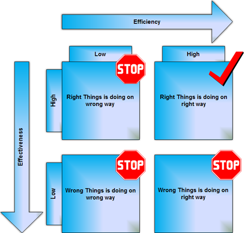 efficiency and effectiveness matrix
