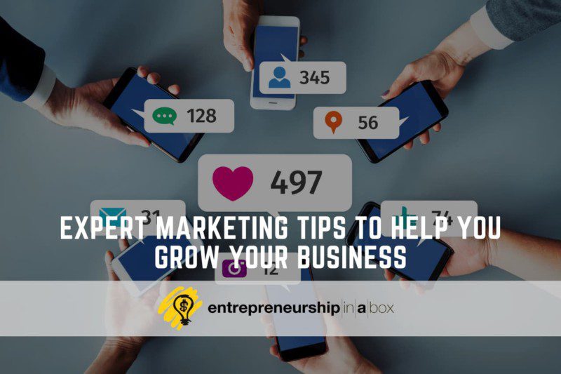 Expert Marketing Tips to Help You Grow Your Business