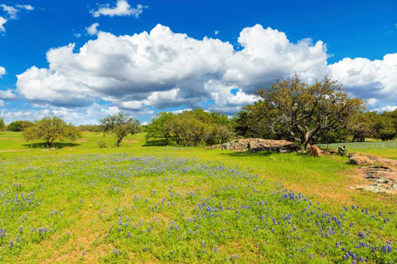 How To Buy a Texas Ranch in Hill Country
