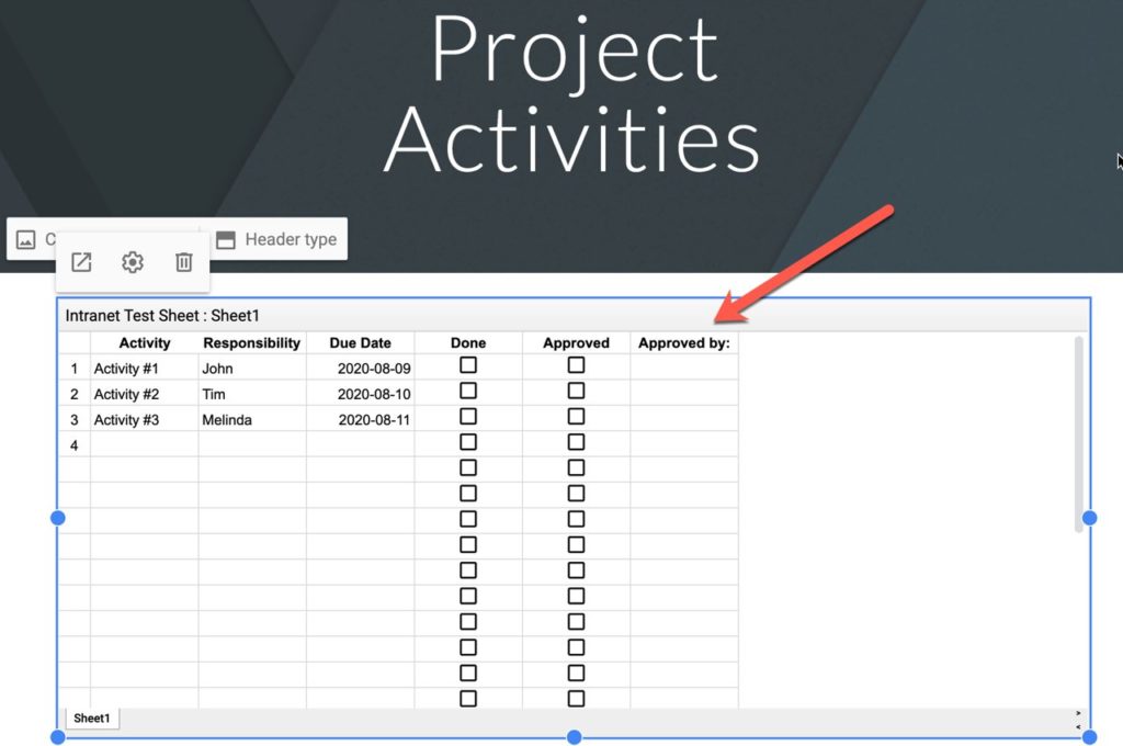 Inserted Sheet in Project Activities