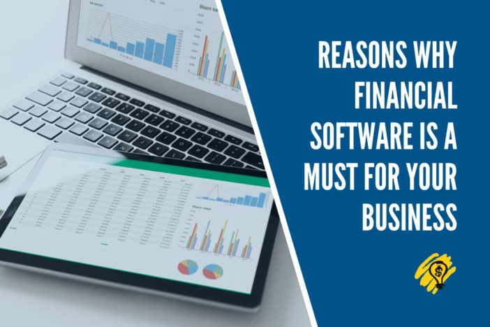 Reasons Why Financial Software is a Must for Your Business